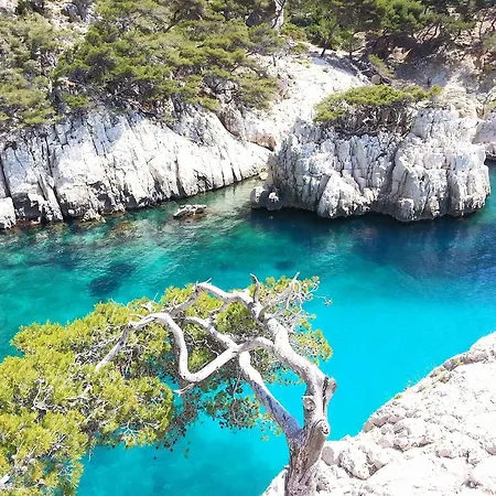La palmeraie-2