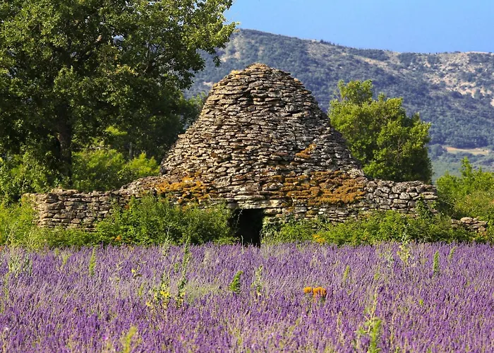 Domaine Les Chênes Blancs